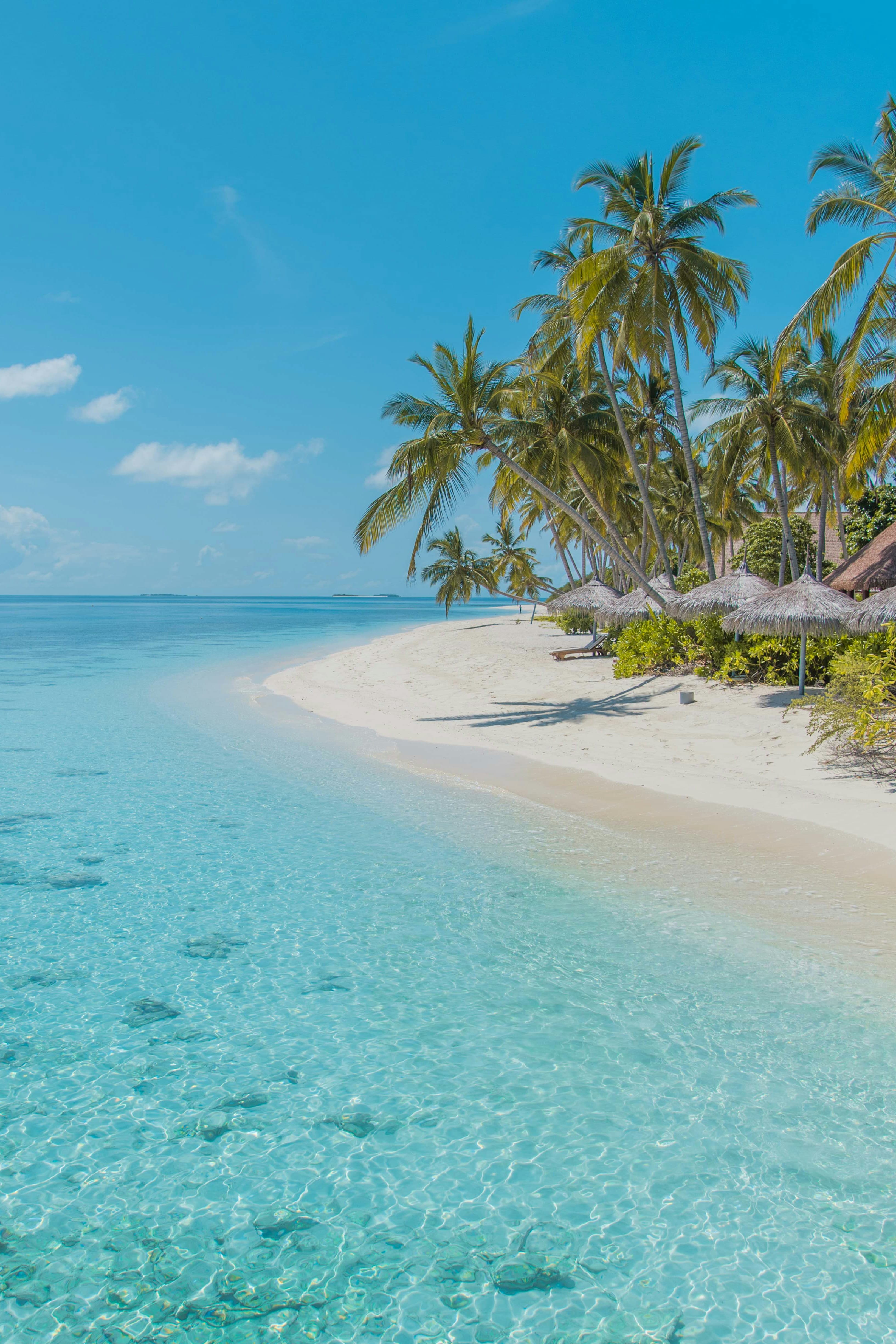 Lakshadweep